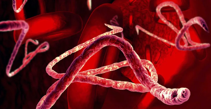 bioterrorism