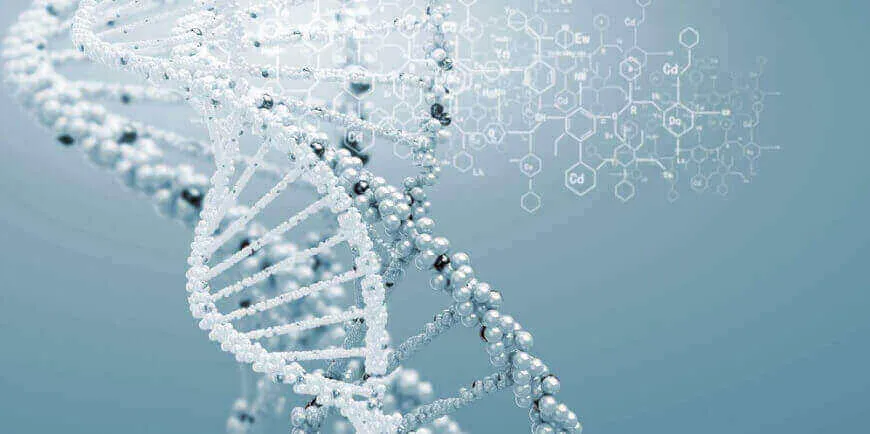 Genetic testing - Analyse your DNA