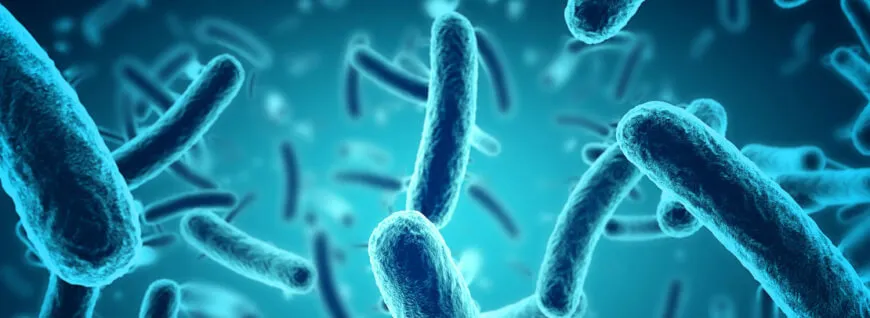 microbiome test