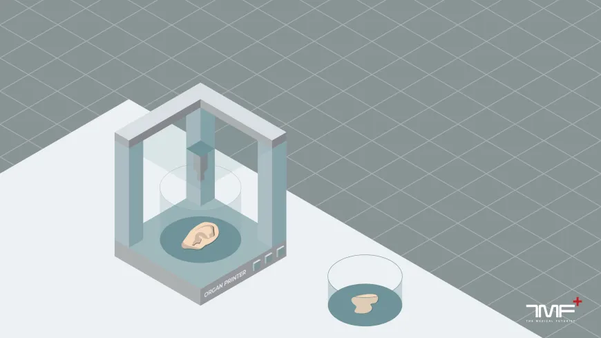TMF, bioprinting companies