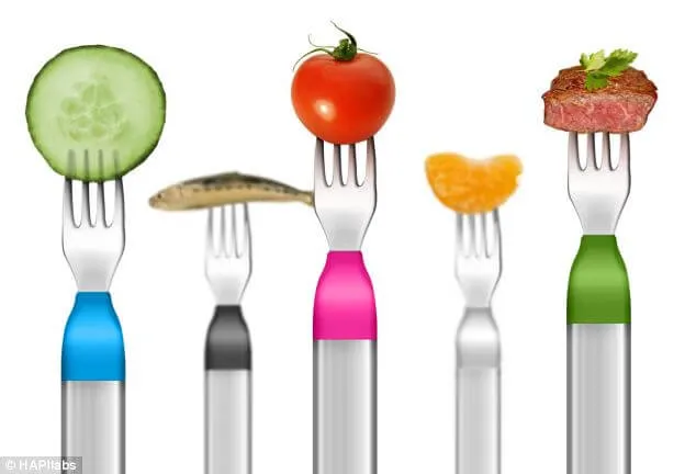 Slow Eating For Balanced Weight Management: The HAPIfork Review