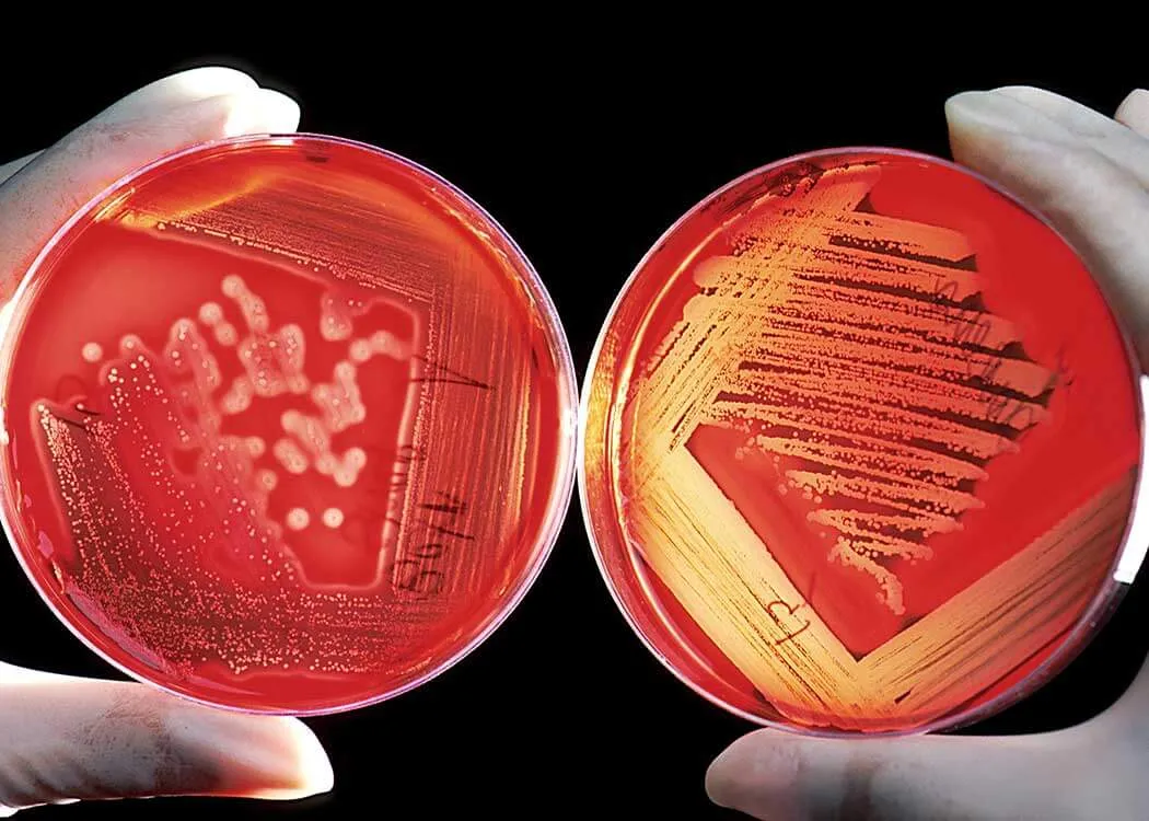 artificial blood