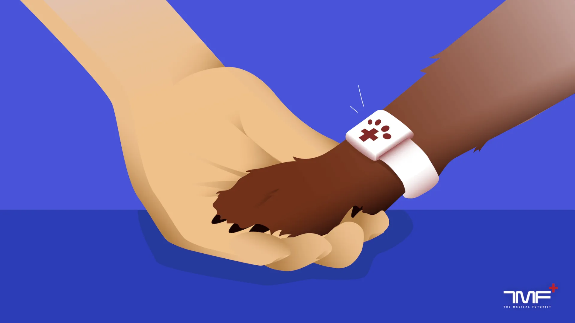 Digital Health For Pets – The Future Of Veterinary Care