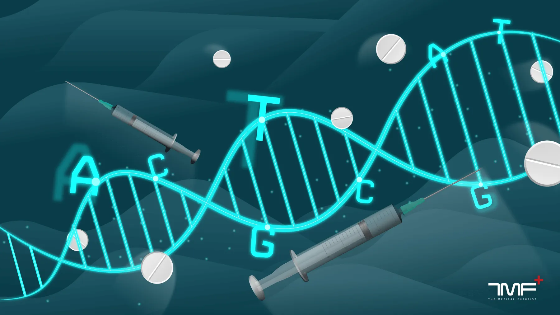 TMF DNA sequence
