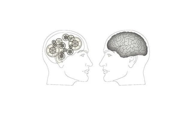 Can An Algorithm Diagnose Better Than A Doctor?