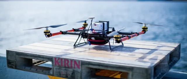 Drones in Medicine