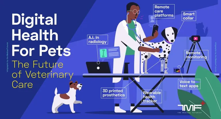 Pets In Digital Health – an infographic